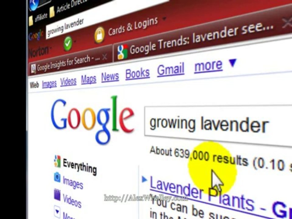 Keyword Winner, the ultimate SEO WP Plugin Review