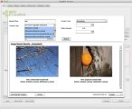 PageOne Curator - Curation Software Download