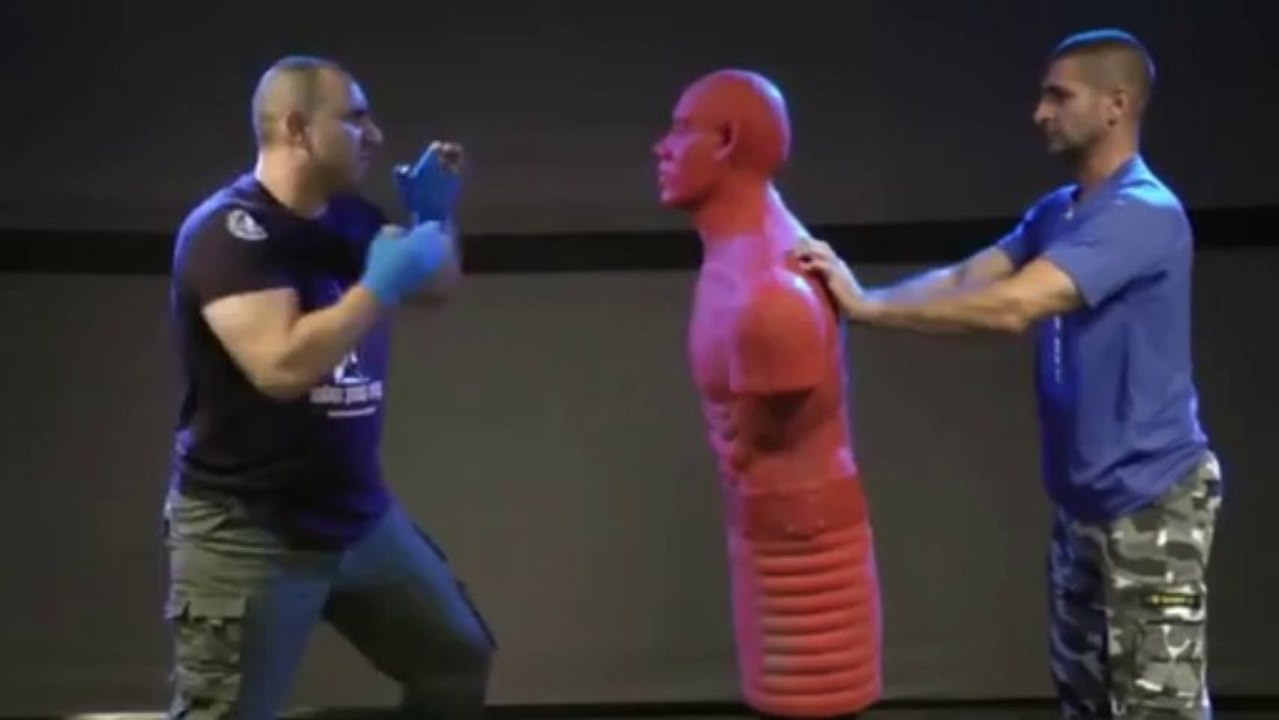 Self Defense Krav Maga In No Time - Hands Strikes PROMO