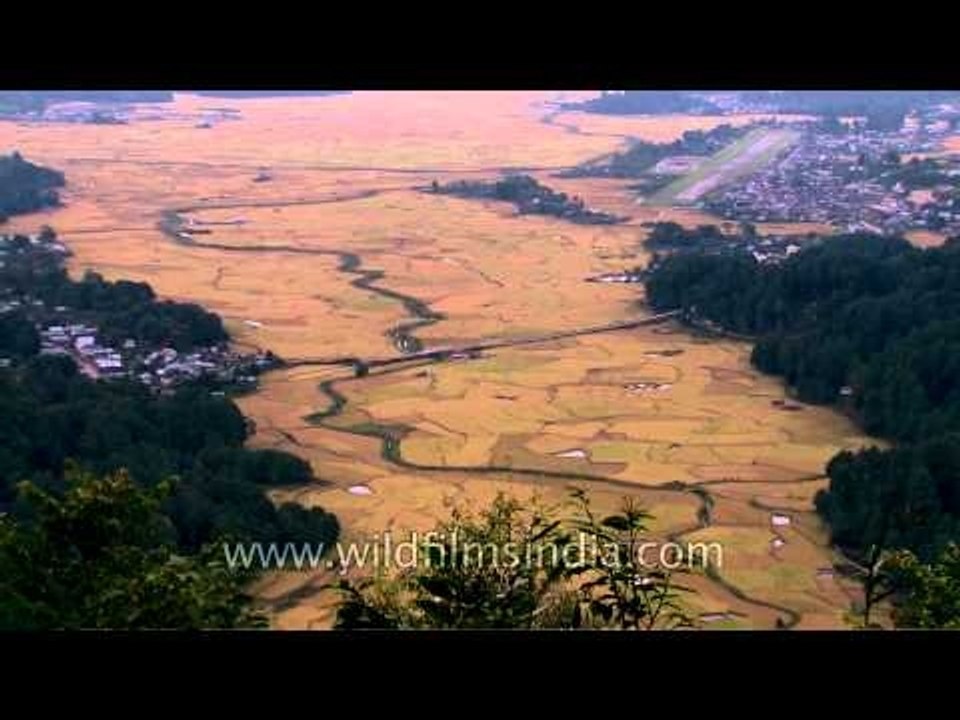 Eagle's eye view of mountains and fields in Ziro
