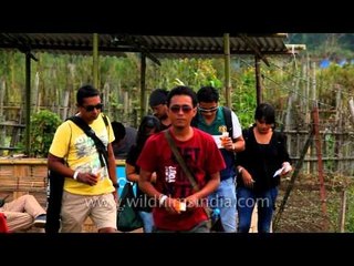 Buy the ticket, take the ride: At ZMF gates