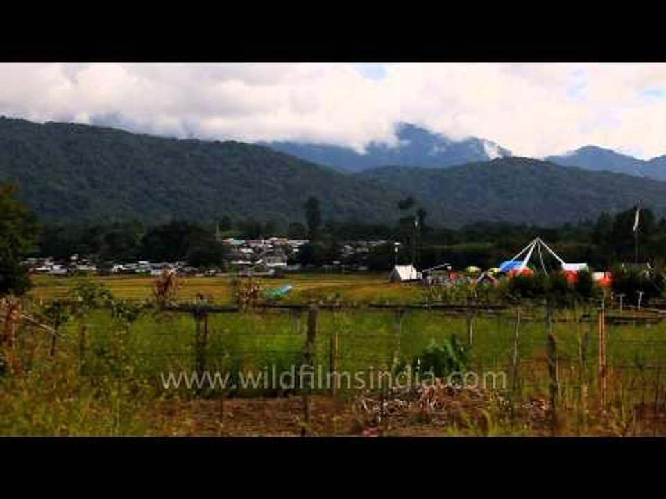 Meadows of Bwrw village: Ziro Festival location