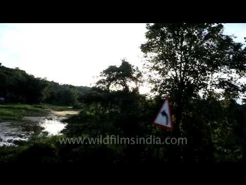 Through an Assamese sunset into Arunachal Pradesh