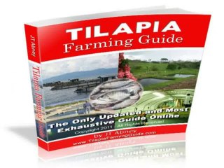 Tilapia Farming Guide Review   Best2