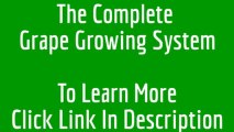 The Complete Grape Growing System complete grape growing system review