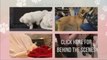 Amazing Pets Videos   Dawson The Cutest Bichon Frise Dog Ever Gets A Bath   2013
