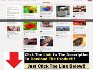 Pinsomo Wordpress  + Pinsomo Wordpress Theme