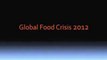 Emergency Preparedness | Survival Kits | Survive Food Crisis | Food Shortages In America