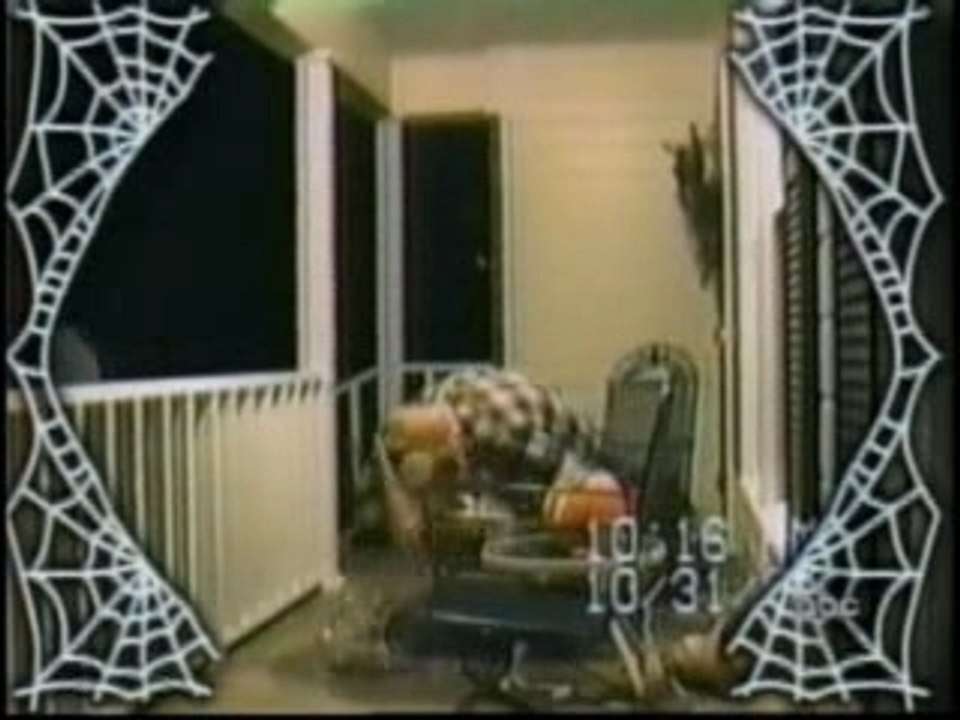 "Régis est un con" il fête halloween