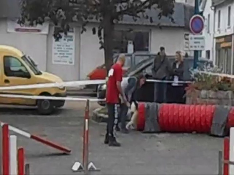 Tosca agy festival du chien 2013