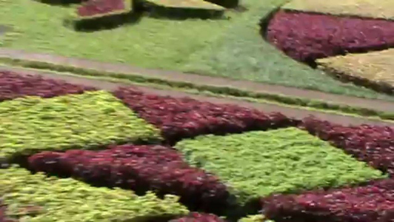 Madeira Jardim Botanico da Madeira Botanischer Garten (5)