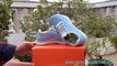 *buyshoesclothing.ru*women Nike Free 3.0 V4 Running Shoes