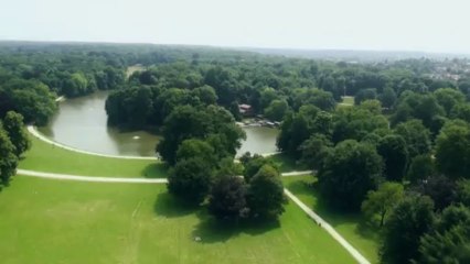 Bois de la Cambre - Entre Ciel et Terre - 1007