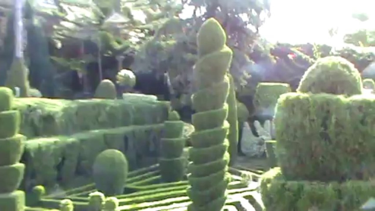 Madeira Jardim Botanico da Madeira Botanischer Garten (8)