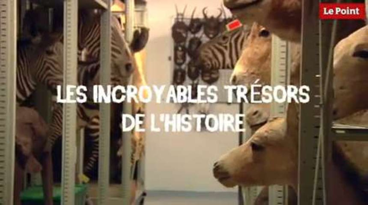 Les incroyables trésors de l'Histoire : l'hémippe de l'impératrice Eugénie.