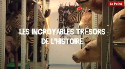 Les incroyables trésors de l'Histoire : l'hémippe de l'impératrice Eugénie.