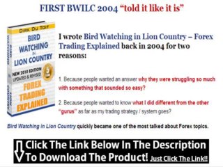 Bird Watching In Lion Country By Dirk Du Toit