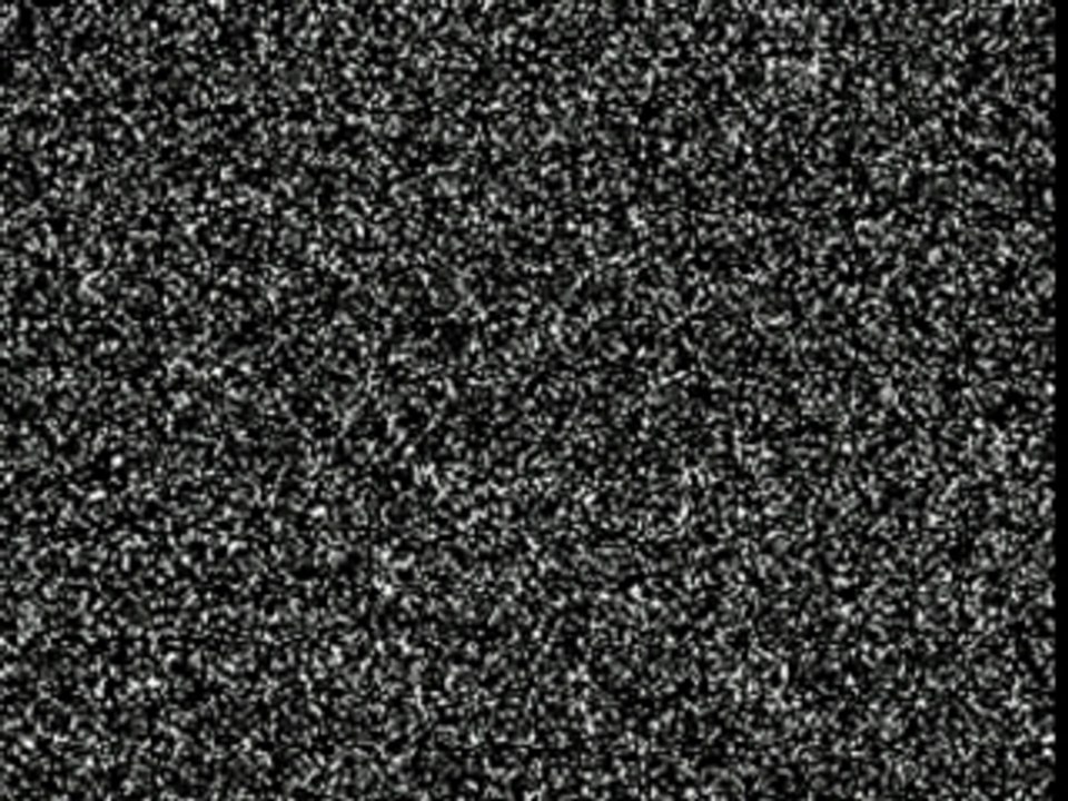 Tapis Rouge 2