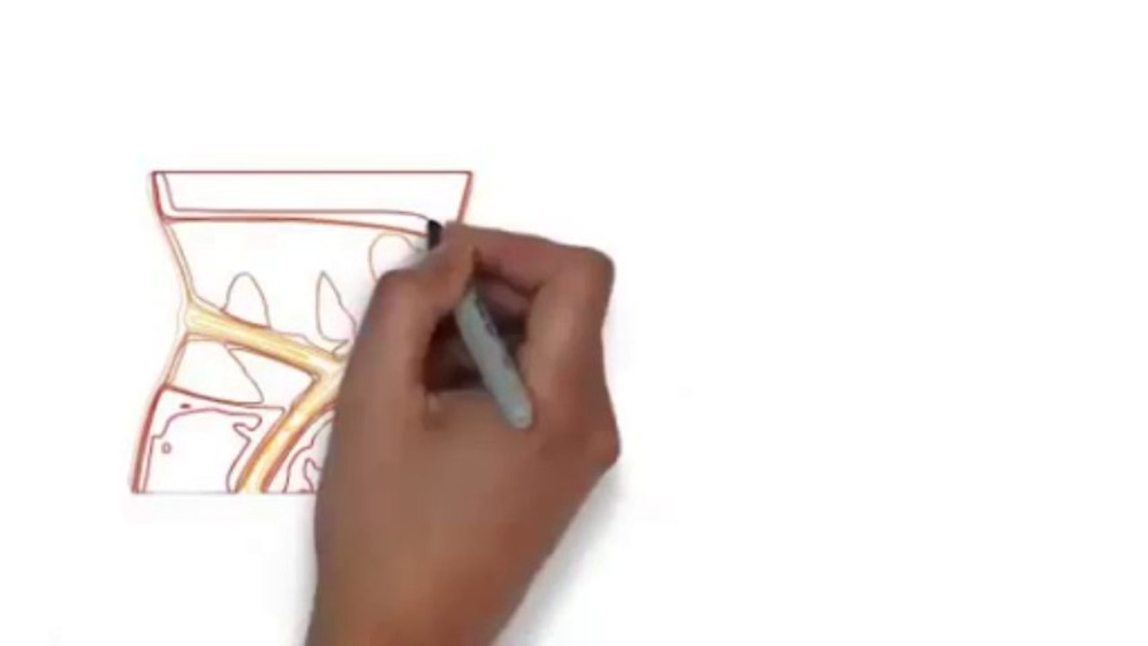 Double Edged Fat Loss 2.0 Review - Simplest Ways to Discover The Fitness Program to Lose Weight