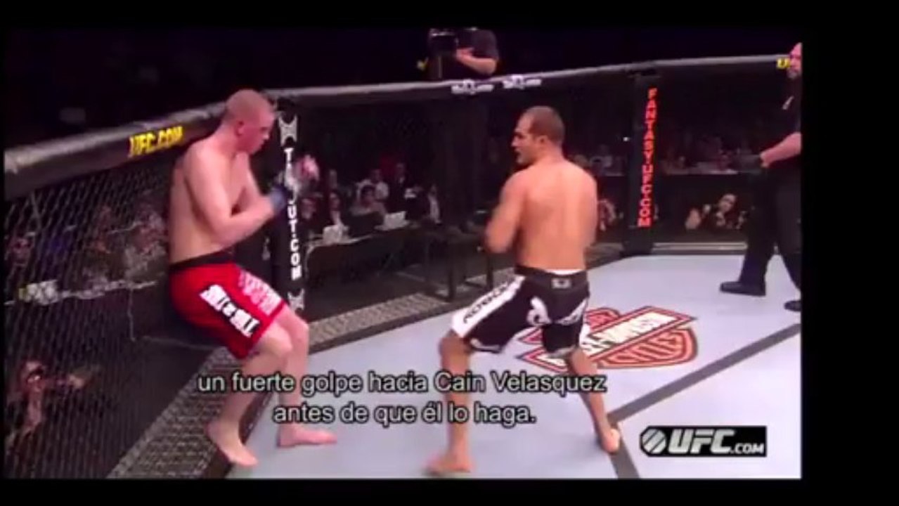 UFC - Previa pelea Caín vs Dos Santos 3