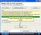 Birdie XLSX to XLS Converter