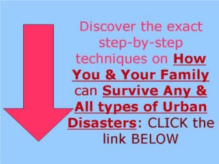 Urban Survival Guide