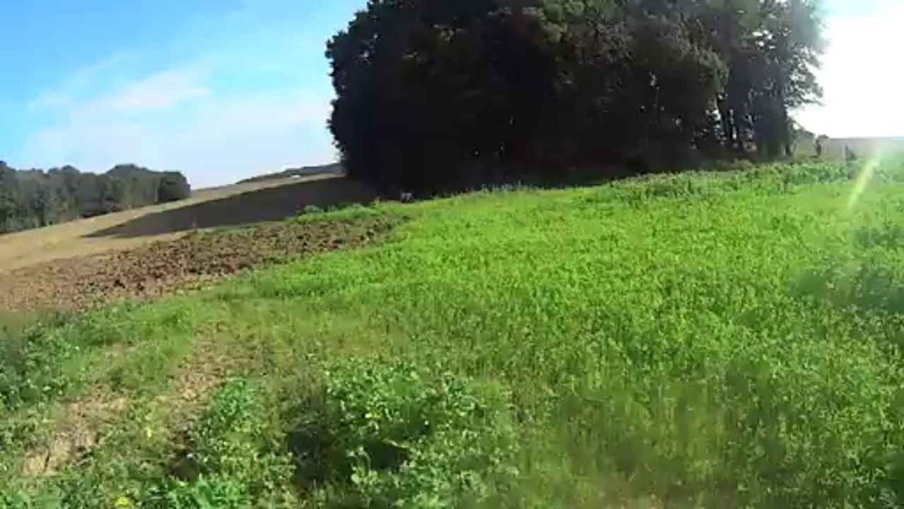 chasse 2013 en fin de journée