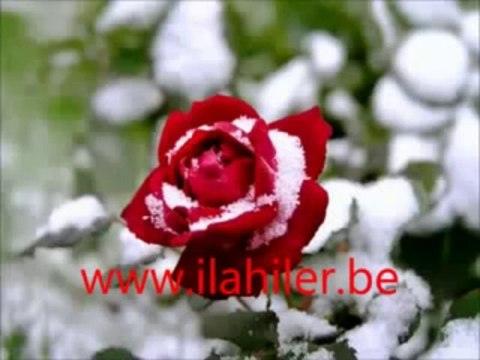 Sedat Uçan Seni Çok Seviyorum video klipli ilahisi YouTube