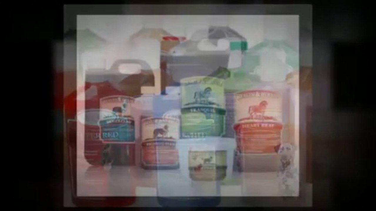 Creative Web Designers And Developers