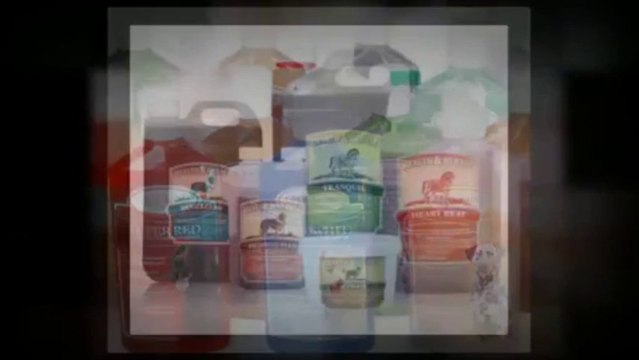 Creative Web Designers And Developers