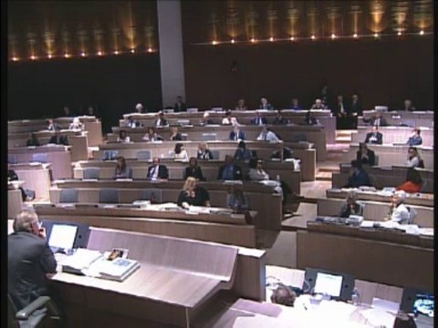 Intervention Dominique TIAN - Conseil Municipal de Marseille 7 octobre 2013