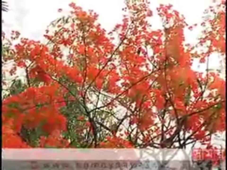 গানের কথা
