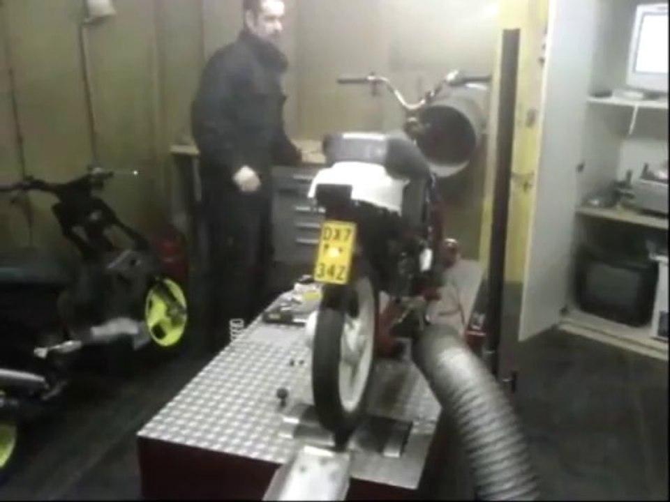 wallaroo testbank 9,8 pk