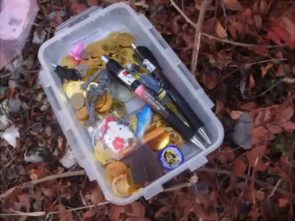 Fleur de Passion 2013 - Florilèges sporadiques de septembre (2ème partie)