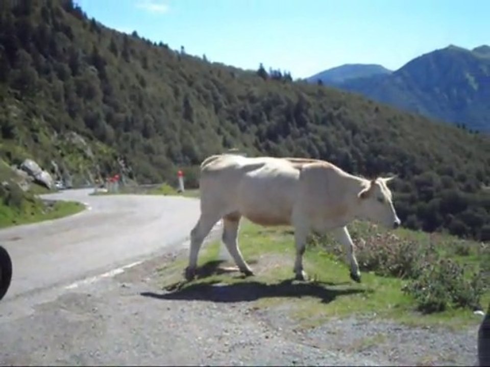 Le Col d'Aspin - Hautes Pyrénées