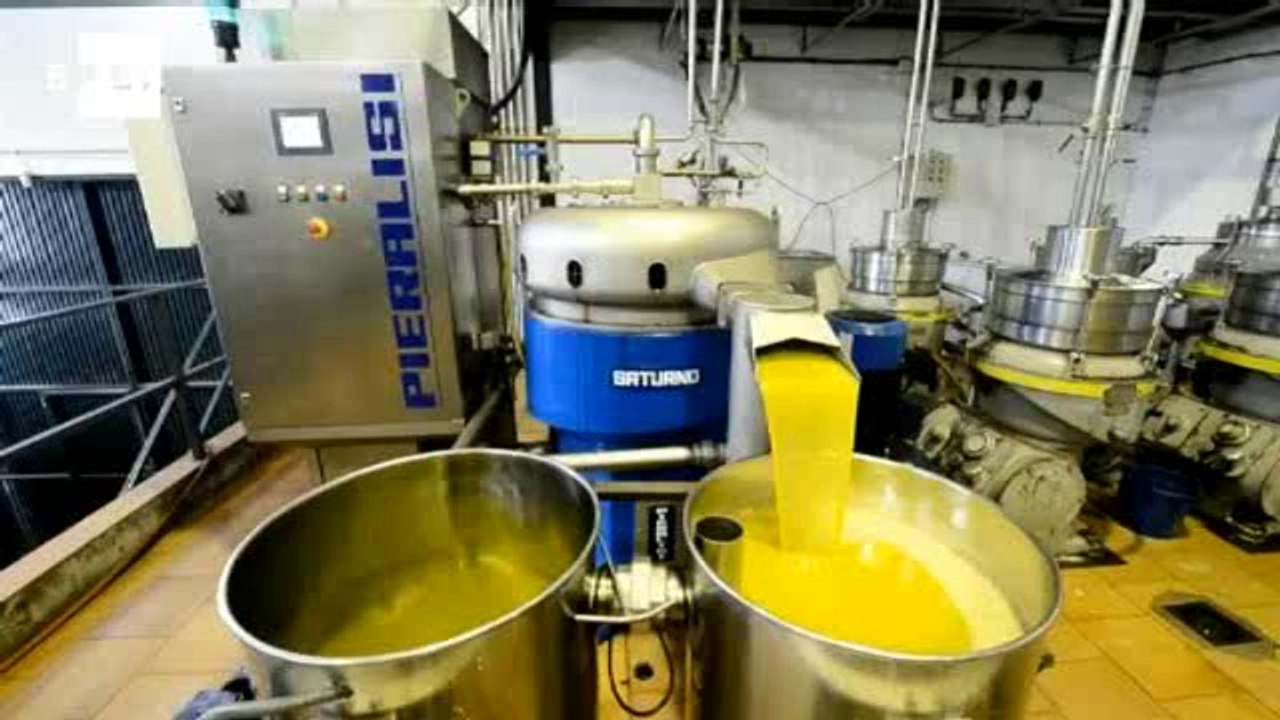 El mejor aceite del mundo