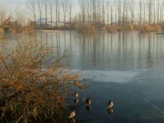 2 de Febrero. Día Mundial de los Humedales
