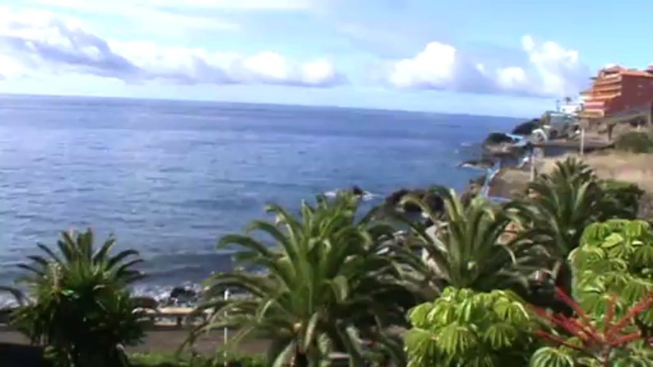 Riu Palace Madeira 4,5 Sterne Canico de Baixo Hotel Palmen Meer Strand Gehweg