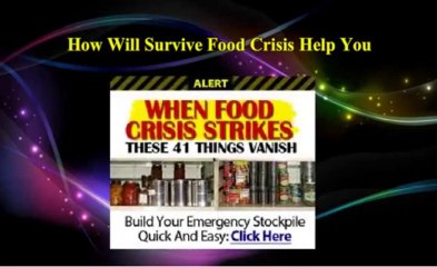 Survive Food Crisis Review