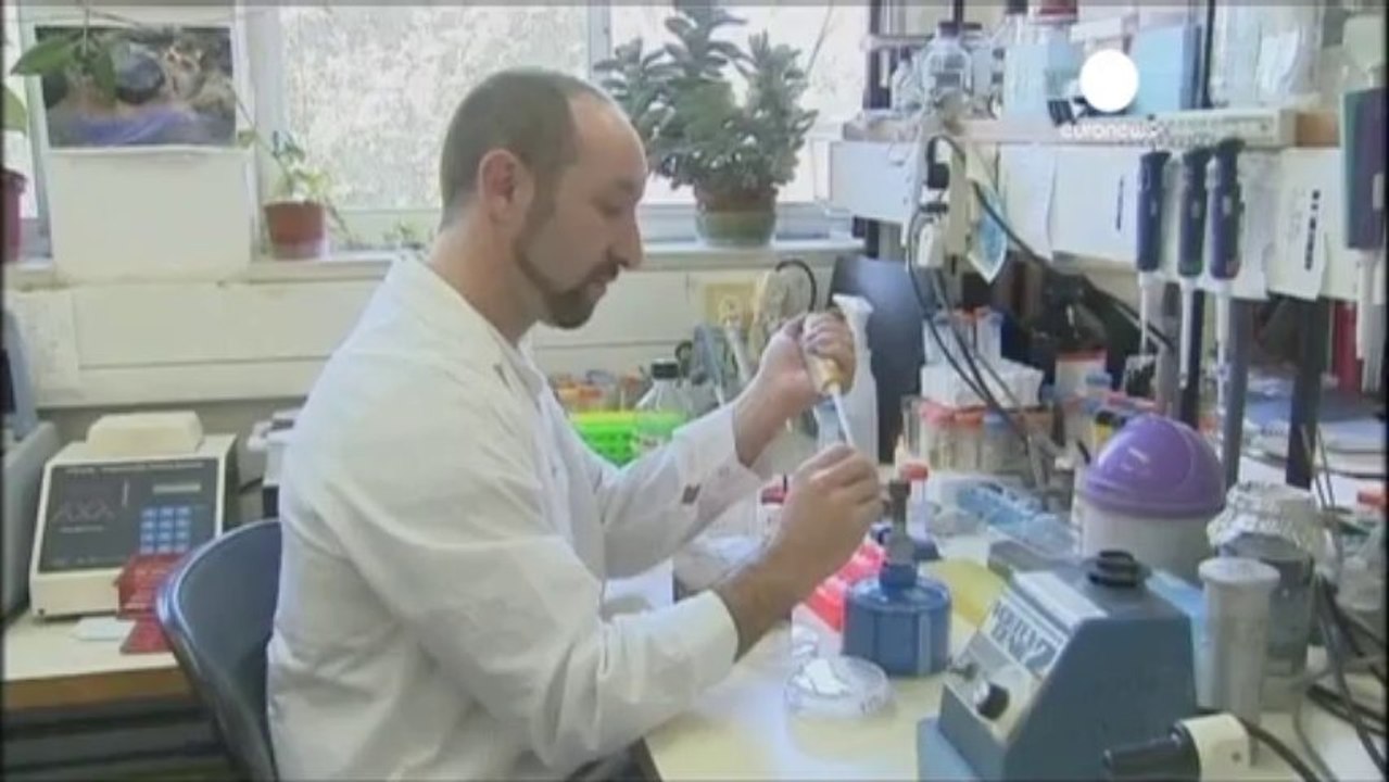 Il vaccino anti-malaria supera i test. Ora serve...