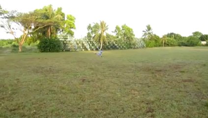 RcPowers X-31 Redonkulous flight envelope.