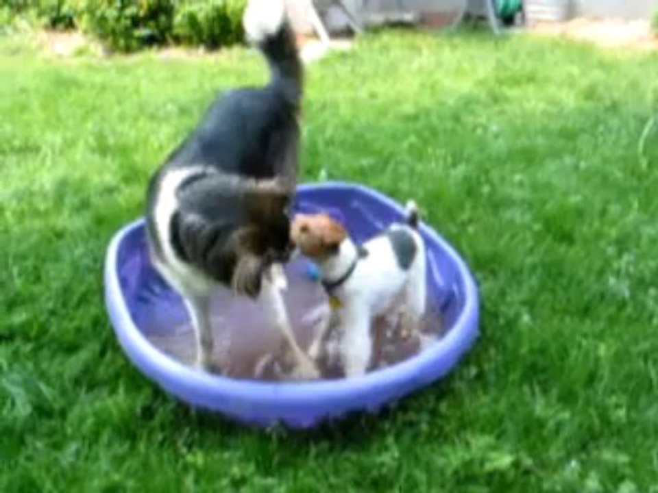 Gracie starts getting him back