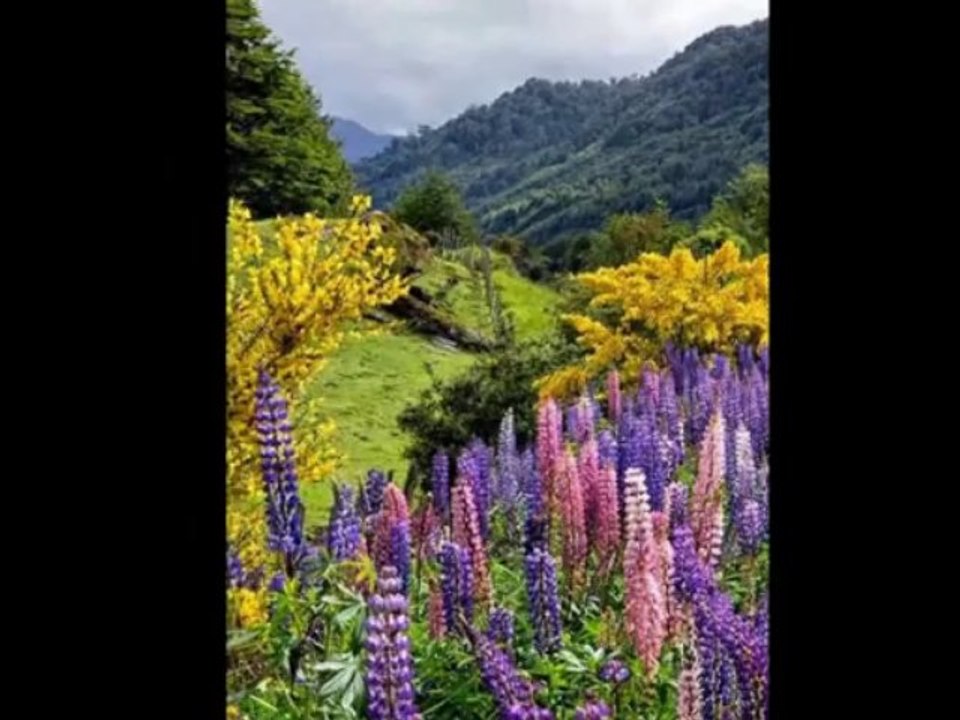 Lara Fabian-- je me souviens