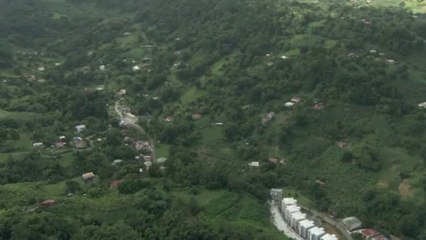 Ville du Gros-Morne : Fôret et Habitation