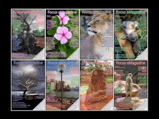 Digital Photography Success