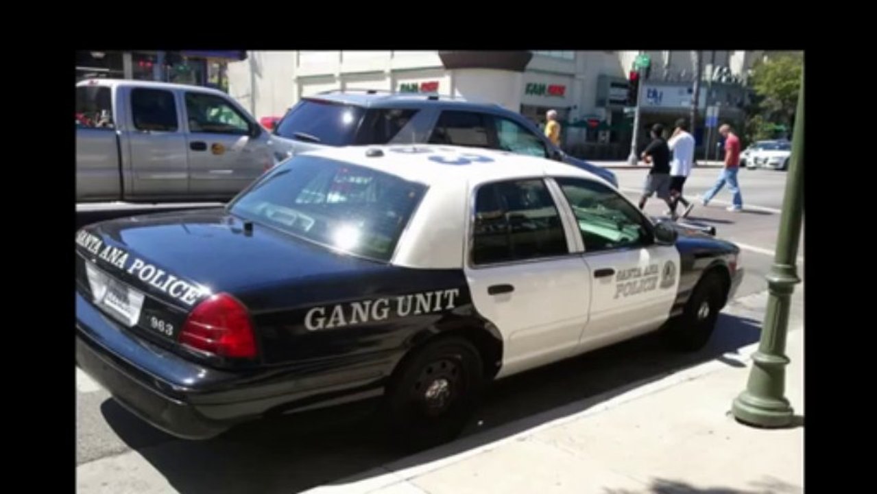 Who is the Hollywoodstuntz Gang_ TRUTH about the vicious biker gang that attacked the SUV in NYC 1_2