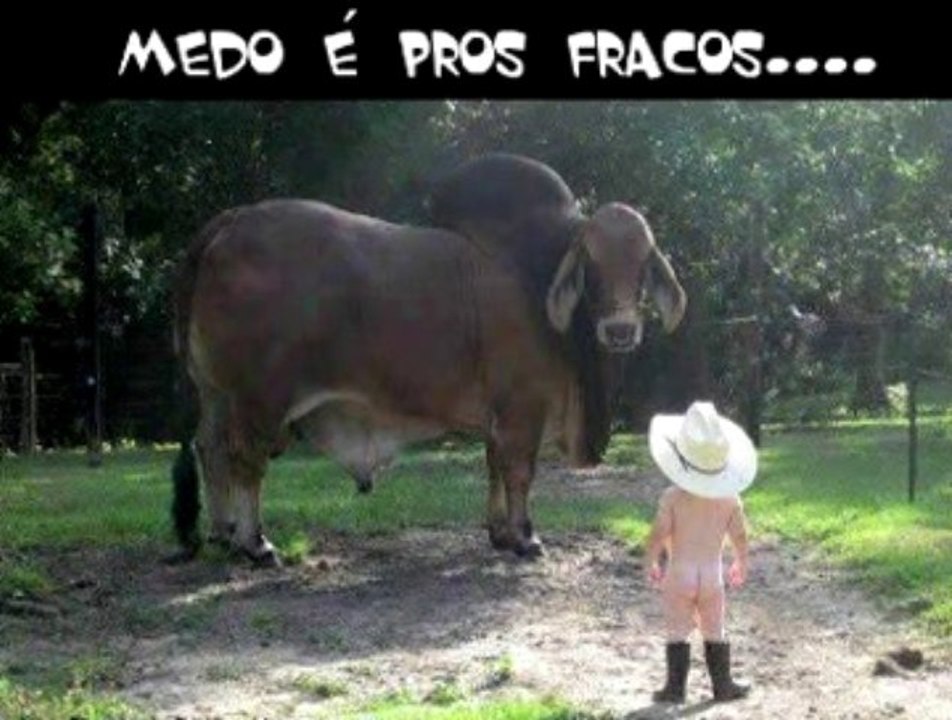cowboy