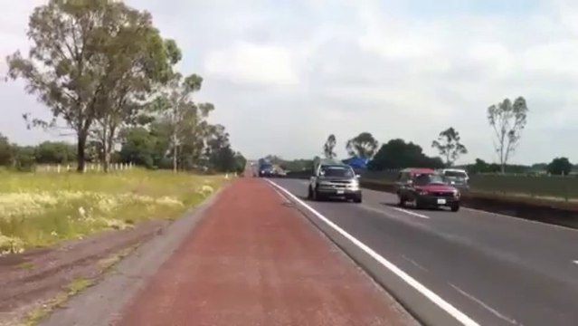 SWIFT El firulais del mexiquillo