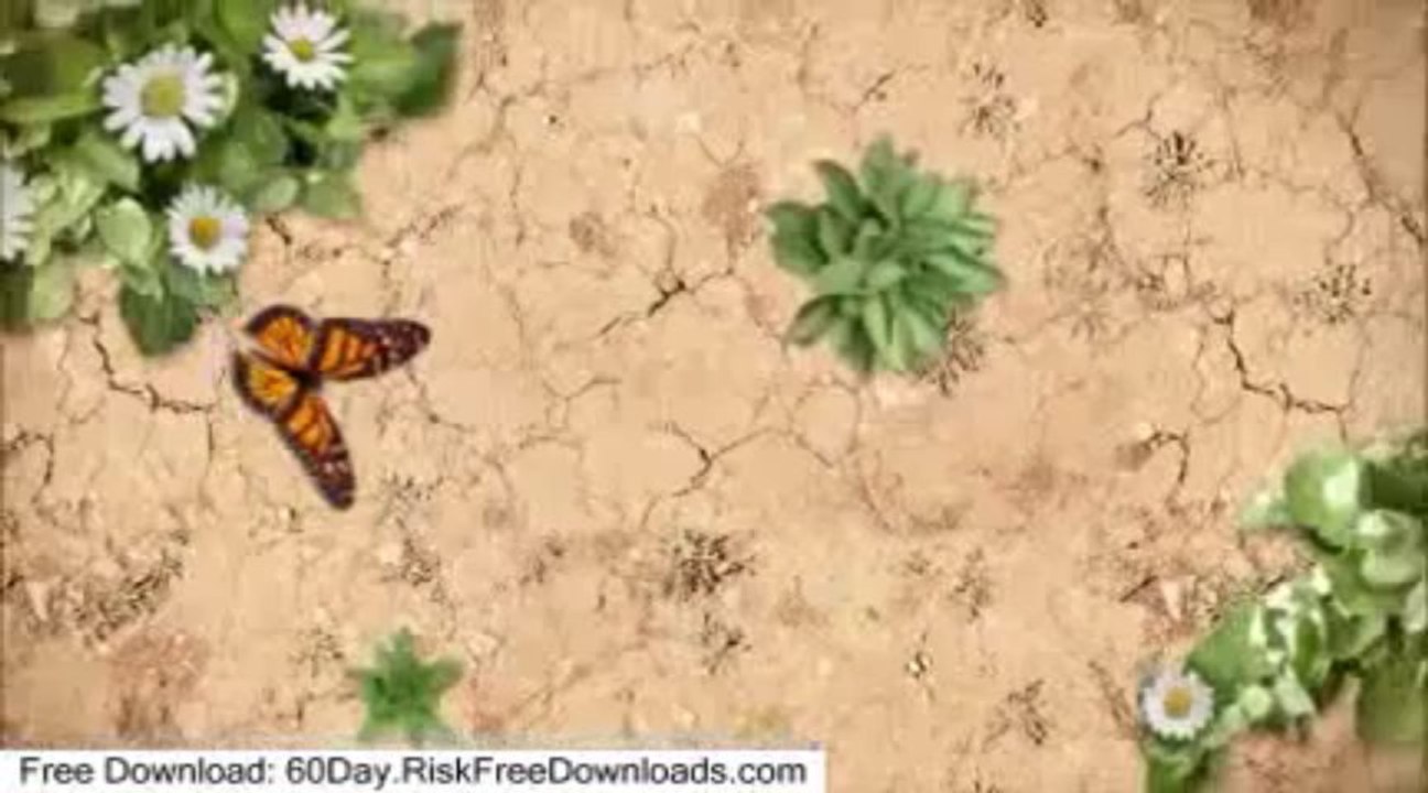 I found a special free download of Belly Dancing Course PDF and a discount