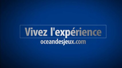 Publicité oceandesjeux.com (jeux en ligne gratuits)